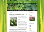 My Shady Garden – Shade Gardener/Blogger